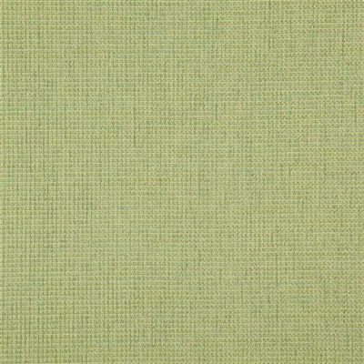 BIRKETT APPLE thumbnail 5