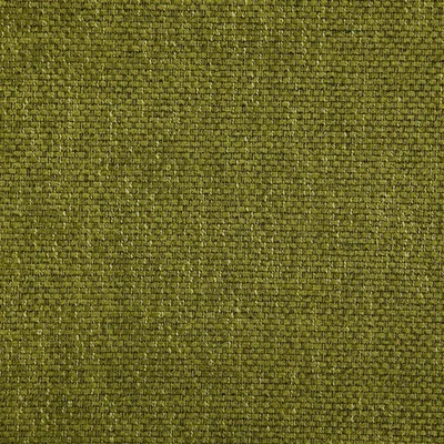 BIRKETT APPLE — Birkett swatch, view 1