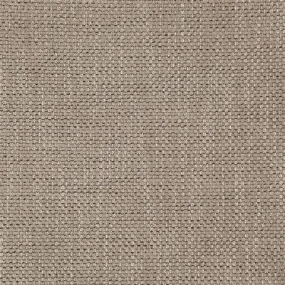 BIRKETT DRIFTWOOD swatch