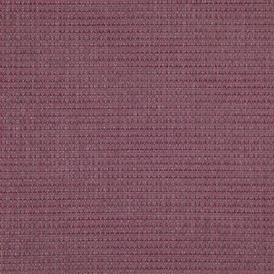 BIRKETT GRAPE thumbnail 4