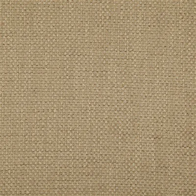 BIRKETT HAZEL swatch