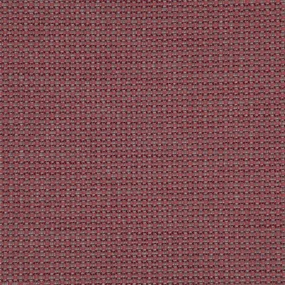 BIRKETT MAGENTA thumbnail 5