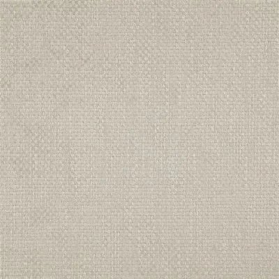 BIRKETT PARCHMENT swatch