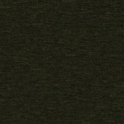 ALLEGRO FOREST — Cadenza swatch, view 1