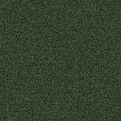 ARIA FIR thumbnail 2