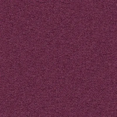 ARIA VIOLA thumbnail 2