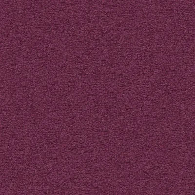 ARIA VIOLA — Cadenza swatch, view 1
