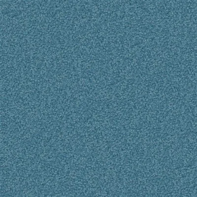 ARIA WEDGWOOD — Cadenza swatch, view 1