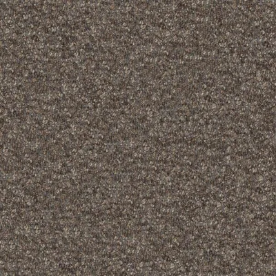 CADENZA CAPPUCCINO thumbnail 2