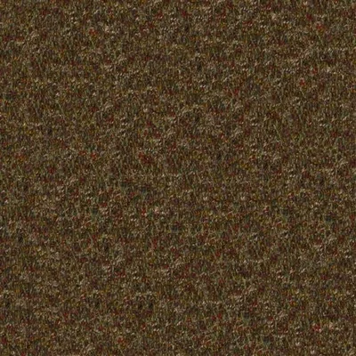 CADENZA FOREST thumbnail 2