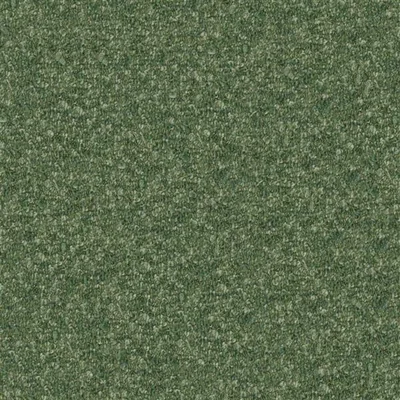 CADENZA LICHEN thumbnail 4