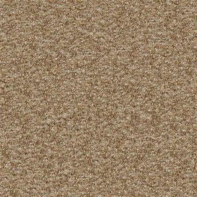 CADENZA NUTMEG — Cadenza swatch, view 1