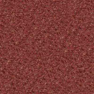 CADENZA RASPBERRY thumbnail 4