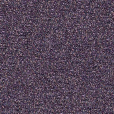 CADENZA VIOLA thumbnail 2