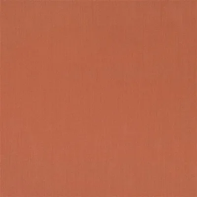 CALI - WILLOW thumbnail 5