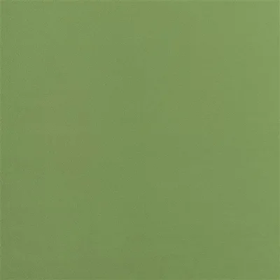 TRENTINO ALCHEMILLA thumbnail 4