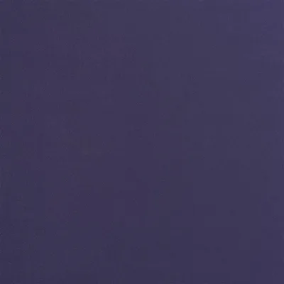 TRENTINO AUBERGINE thumbnail 2