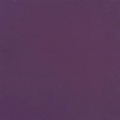 TRENTINO CURRANT thumbnail 2