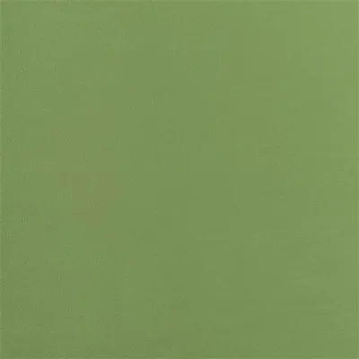 TRENTINO DOVE thumbnail 4