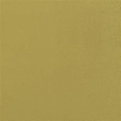 TRENTINO MOSS thumbnail 2