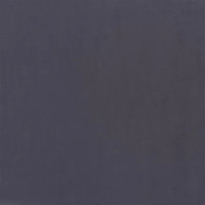 TRENTINO RAVEN thumbnail 2