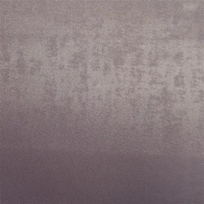 CANZO - OYSTER swatch