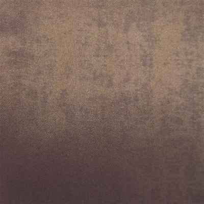 CANZO - SPICE thumbnail 2