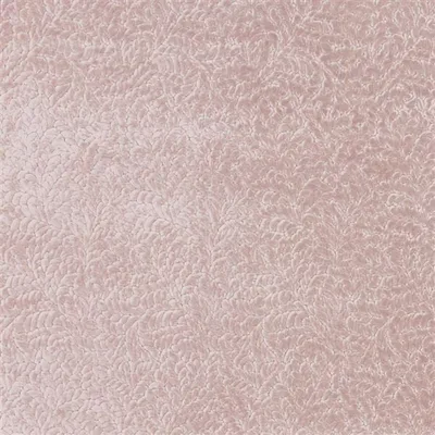 CARTOUCHE BLOSSOM thumbnail 2