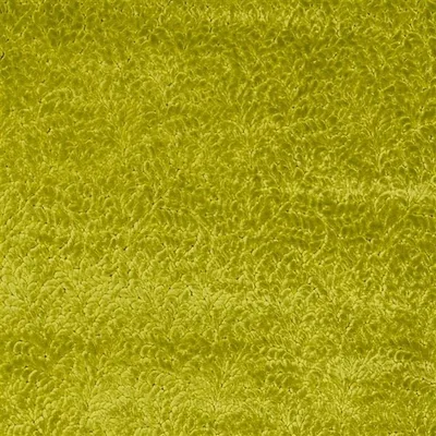 CARTOUCHE MOSS thumbnail 2