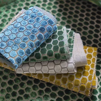 JABOT MUSTARD thumbnail 5