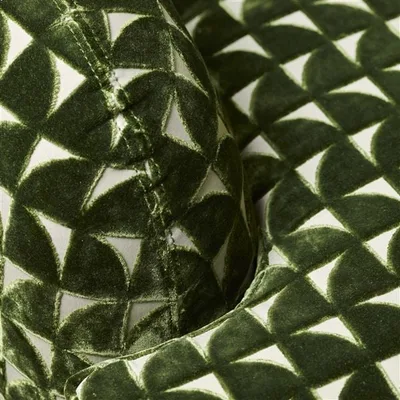 MARQUISE FERN thumbnail 5