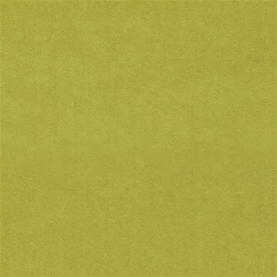 CASSIA - ALCHEMILLA swatch