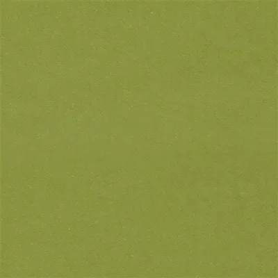 CASSIA - APPLE swatch