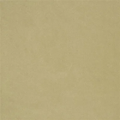 CASSIA - BISCUIT thumbnail 2