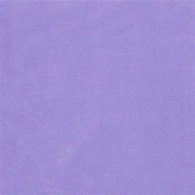 CASSIA - DAHLIA thumbnail 2