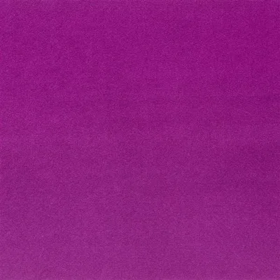 CASSIA - DAMSON thumbnail 2