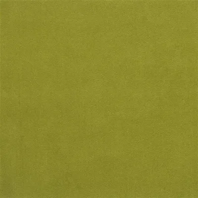 CASSIA - FERN thumbnail 5