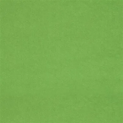 CASSIA - GRASS thumbnail 2