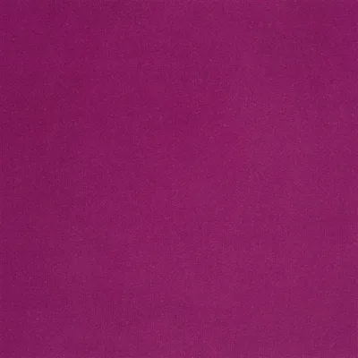 CASSIA - MAGENTA thumbnail 2