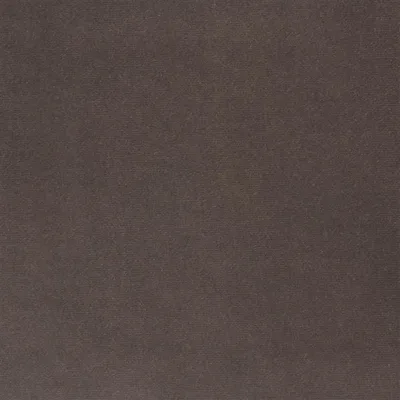 CASSIA - MOLESKIN — Casablanca swatch, view 1