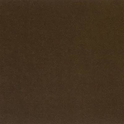 CASSIA - WALNUT — Casablanca swatch, view 1