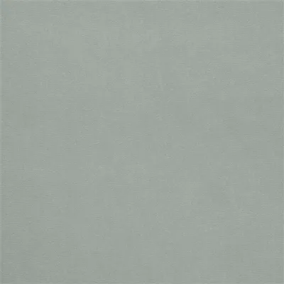 CASSIA - ZINC thumbnail 2