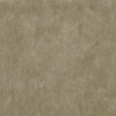 MOYARTA - BIRCH swatch