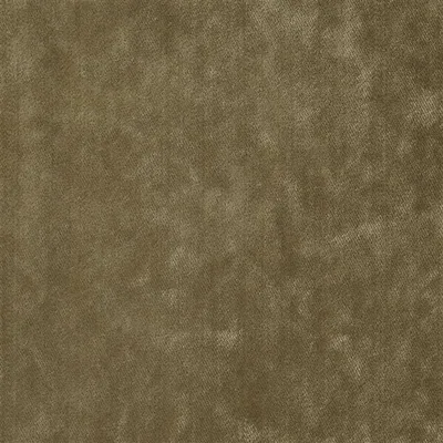 MOYARTA - DRIFTWOOD thumbnail 2