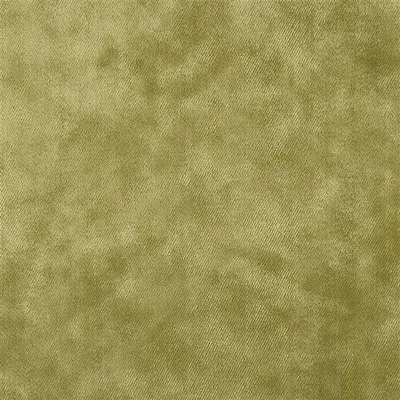 MOYARTA - OLIVE thumbnail 2