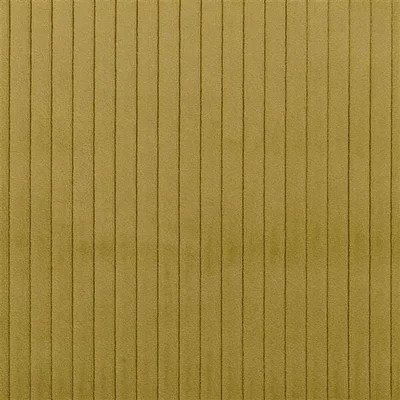 CASSIA CORD FERN thumbnail 2