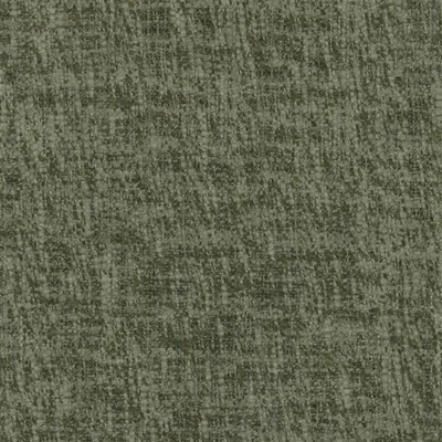 CAVAZZO MOSS thumbnail 2