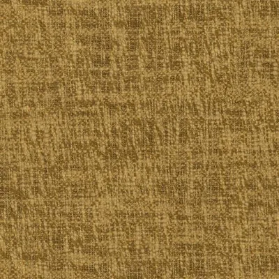 CAVAZZO MUSTARD thumbnail 2