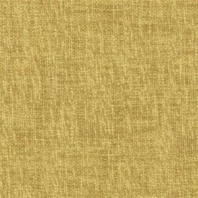 CAVAZZO MUSTARD thumbnail 4