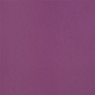 CORBARA - DAMSON thumbnail 4